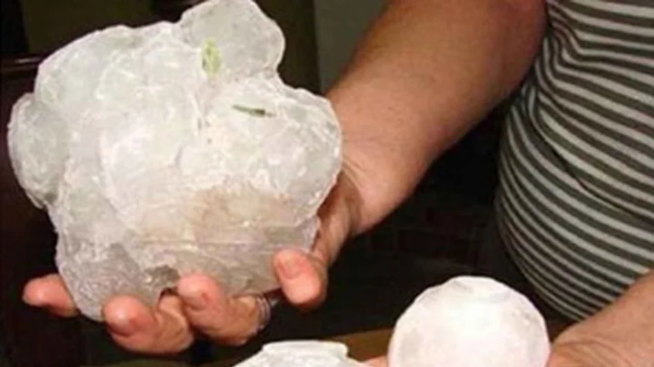 VIDEO. Una impresionante granizada causó destrozos en Rumania.