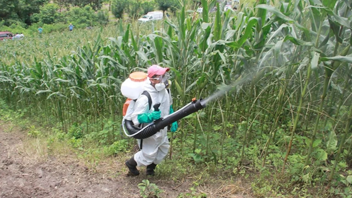 Más de 5.000 casos de dengue en Salta y recomiendan extremar la prevención