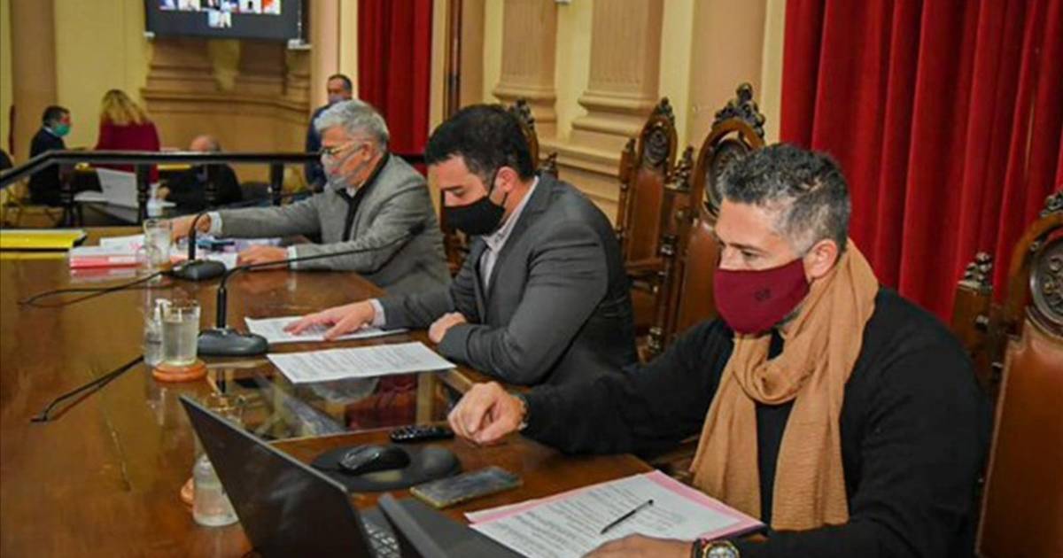 Quieren que por ley, el cebil colorado sea el "árbol histórico de Salta"