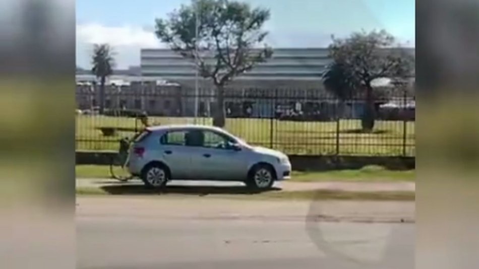 VIDEO. Otro irresponsable al volante: un conductor circulando por una ciclovía
