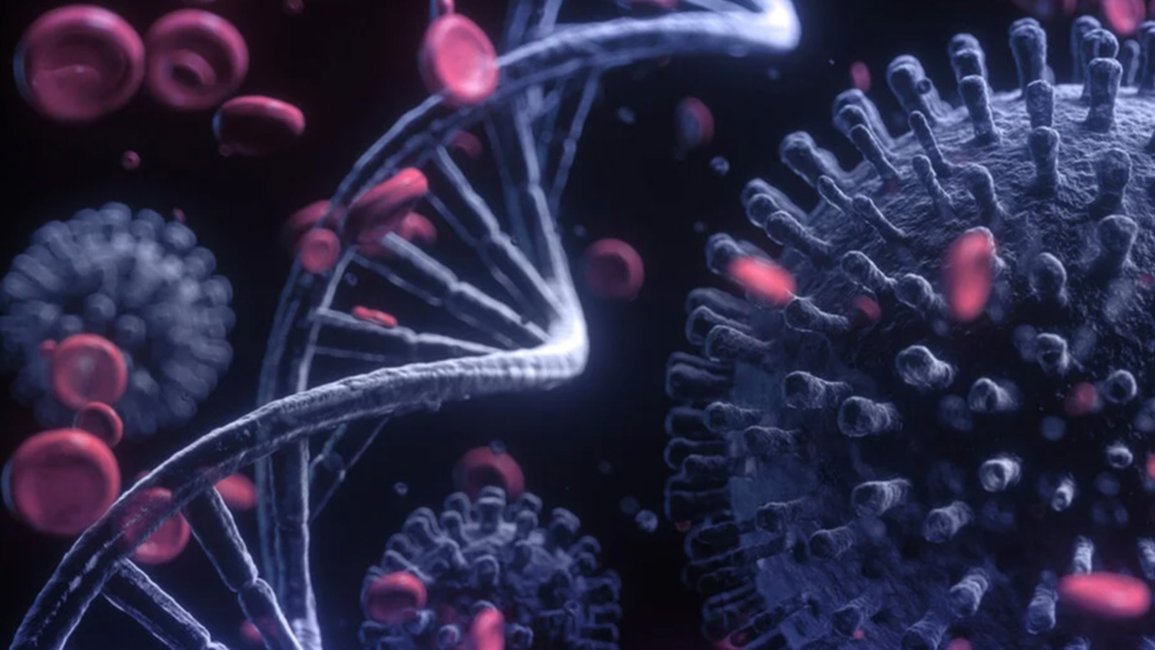 Coronavirus: La inmunidad puede  durar varios años,  según investigadores