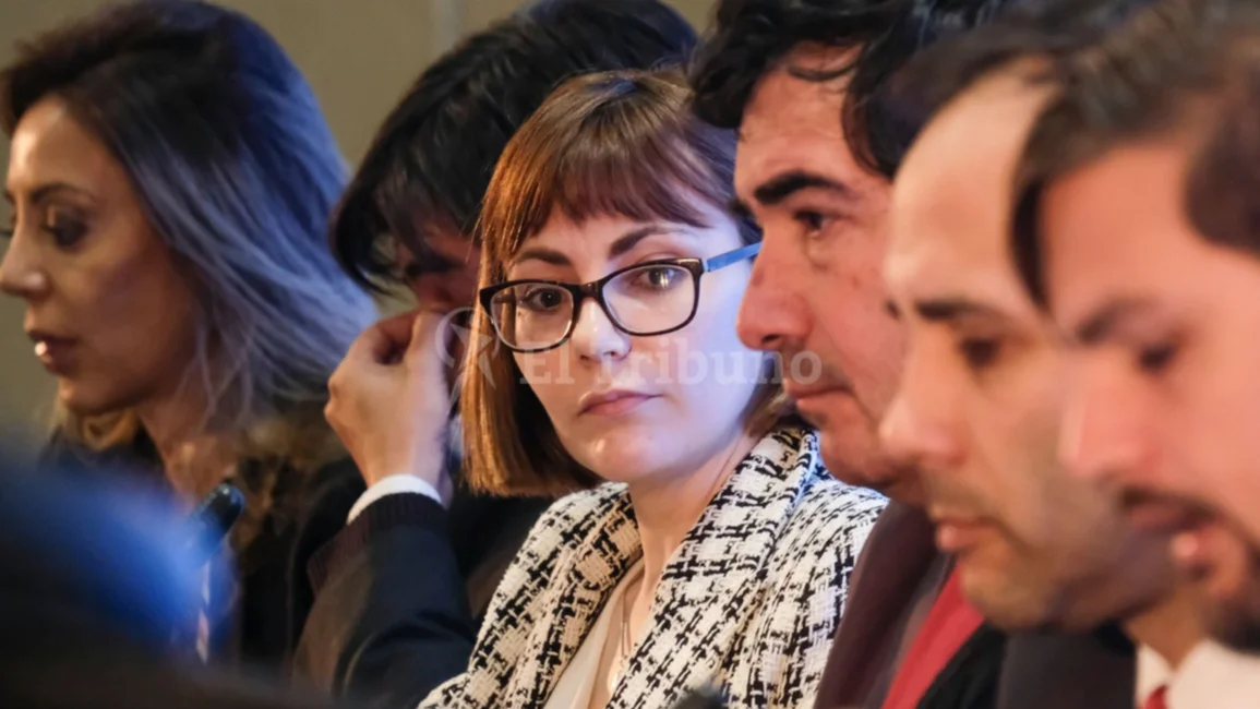 Renta inesperada: "No alcanzaría  a la actividad minera", dijo Ávila
