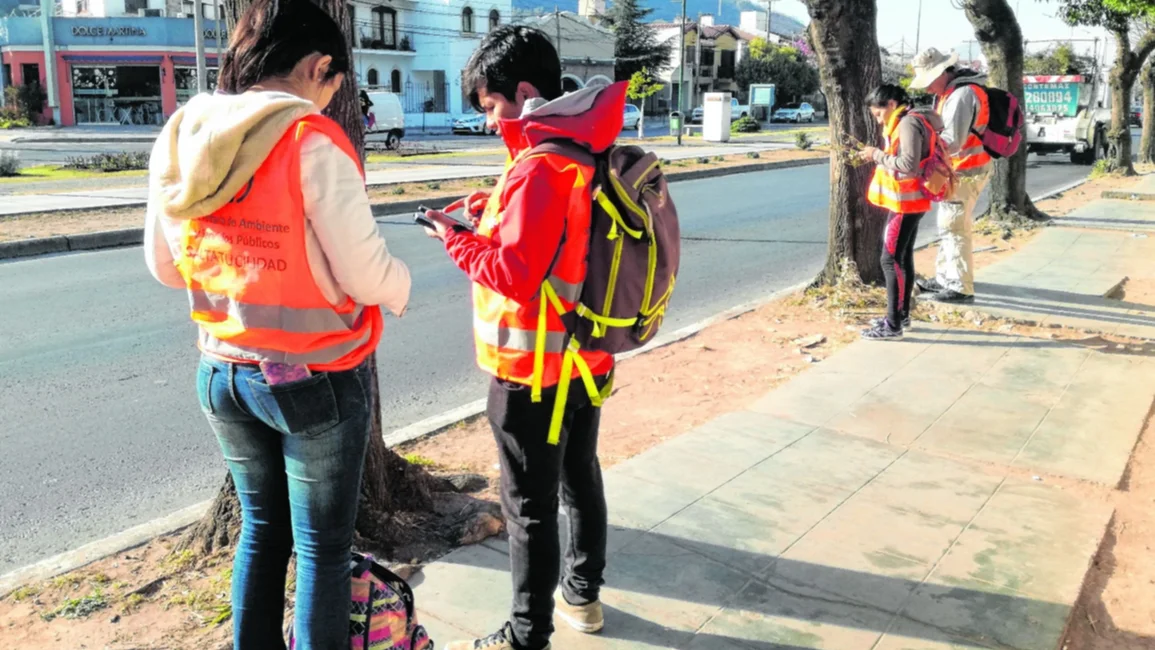 Solo un 15% de los árboles de la ciudad están registrados