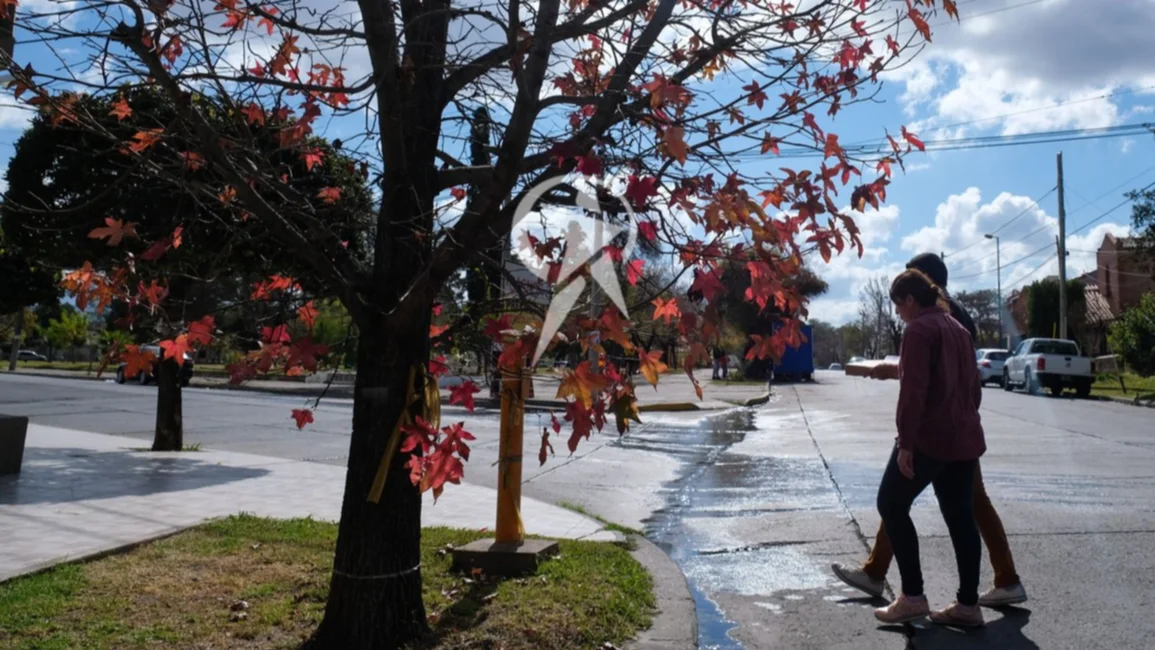  A no desabrigarse: esta semana habrá mínimas de 7 grados