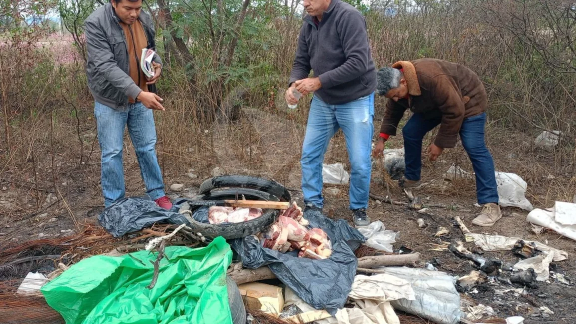 General Güemes: Decomisan y destruyen 40 kg de carne en mal estado