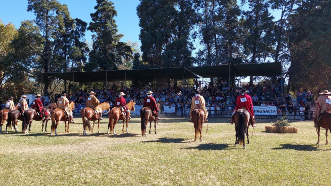 Caballos Peruanos de Paso: la fiesta y los campeones en la Rural Salteña