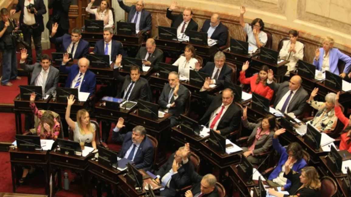 El Senado inicia el tratamiento de la ley de Bases en comisión y el kirchnerismo dice estar abroquelado para rechazar el proyecto 
