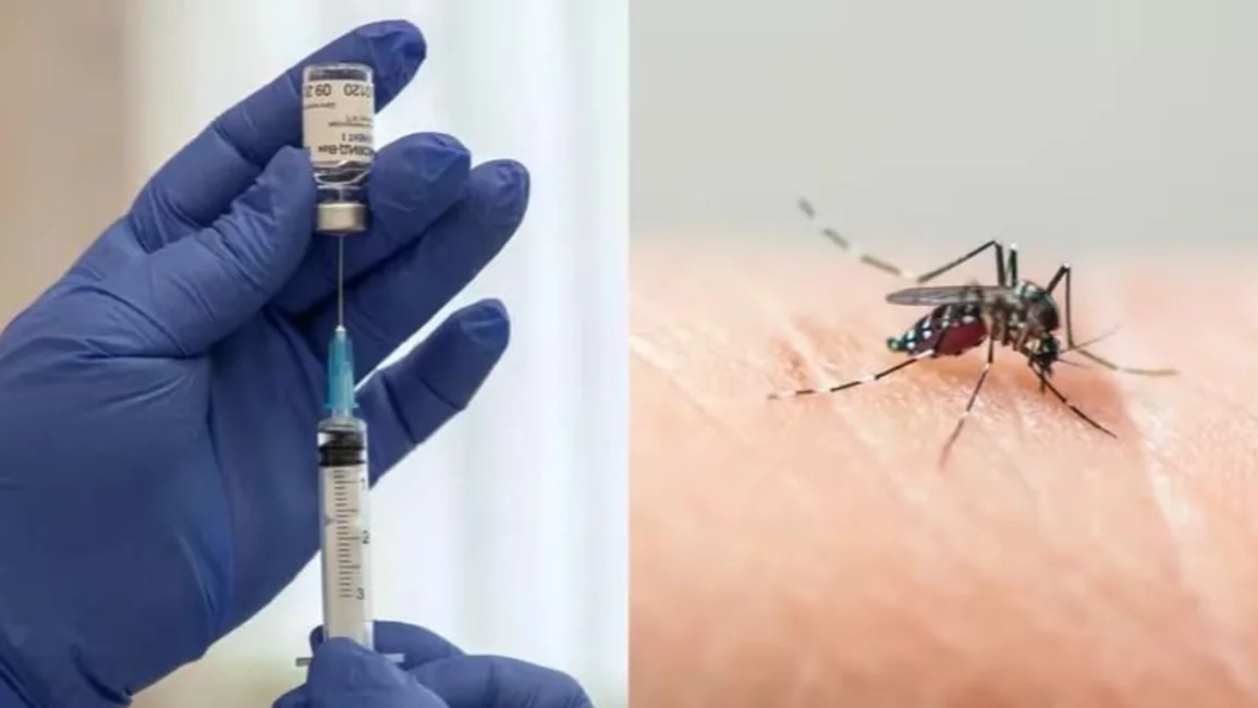 Alerta dengue: el Gobierno Nacional anunció la implementación de la vacunación focalizada Alerta dengue: el Gobierno Nacional anunció la implementación de la vacunación focalizada