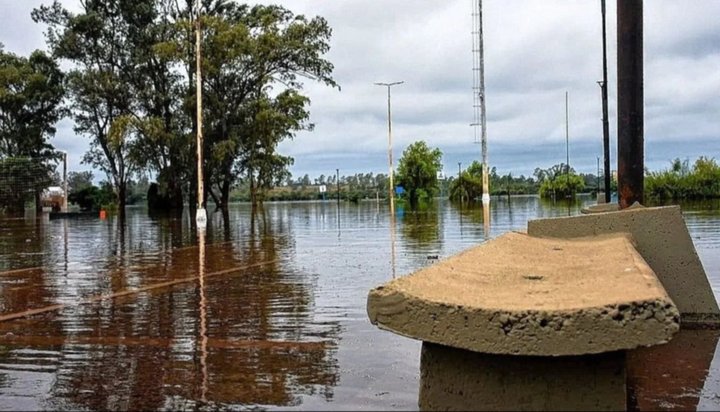 Concordia bajo el agua: 550 personas fueron evacuadas por la crecida del río Uruguay
