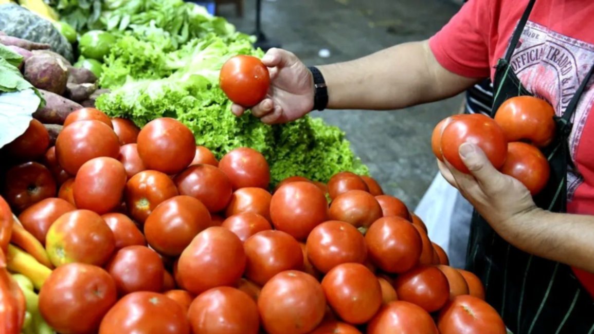 “Están del tomate”, dijo un salteño al ver que el precio de la hortaliza trepó a $40.000 el cajón