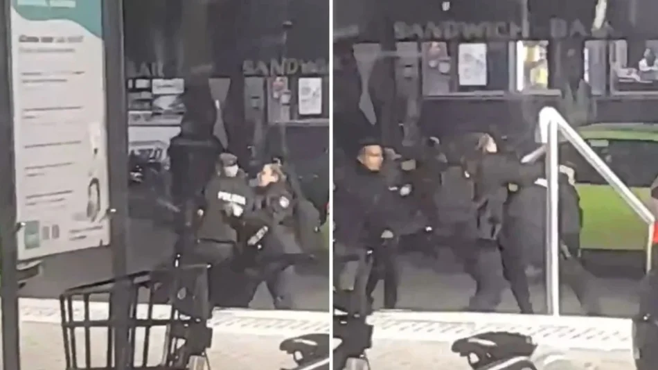 VIDEO Dos policías terminaron a las piñas por el amor de una uniformada
