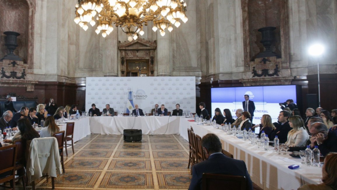  Senadores dialoguistas piden cambios en la ley Bases