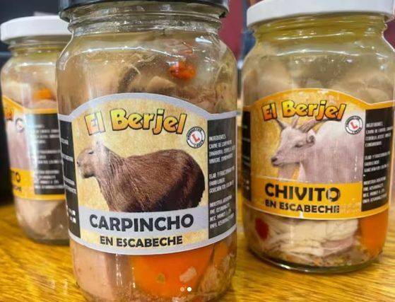 Horror cerca de Rosario: rescatan carpinchos bebés que estaban a punto de convertirse en milanesas de capibara