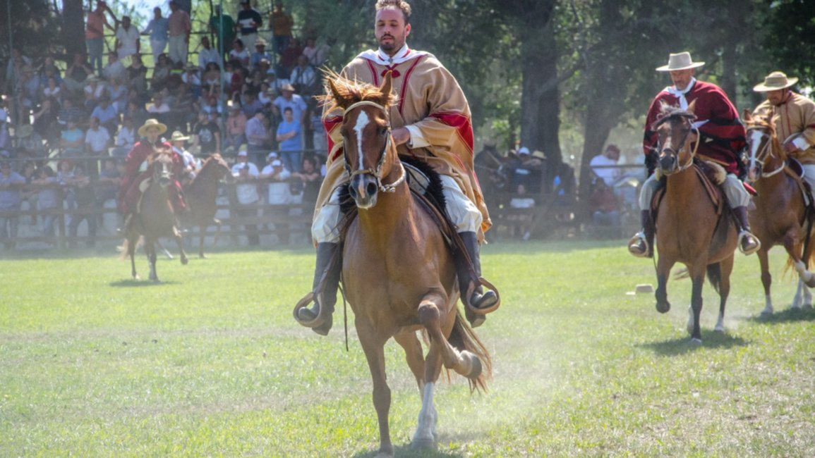 Gran cierre del Concurso del Caballo Peruano, esta tarde la Rural