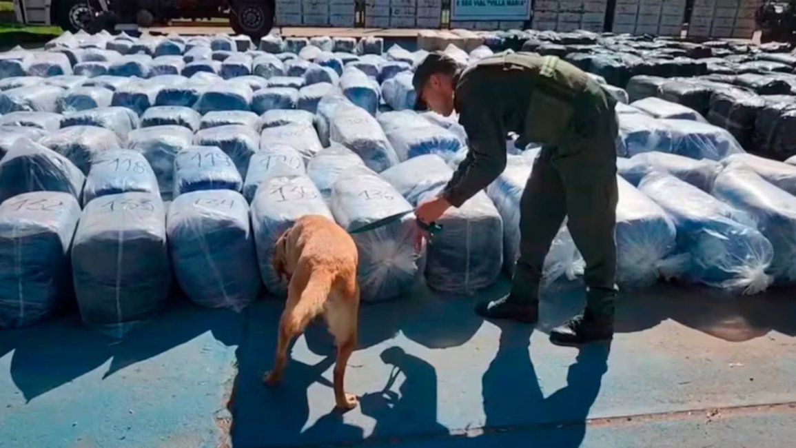 Secuestran 7000 kg de hojas de coca ocultos en un camión
