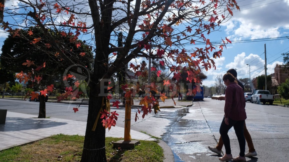 Clima en Salta. Un leve descenso de temperatura para la ciudad y fuertes vientos para Cafayate 