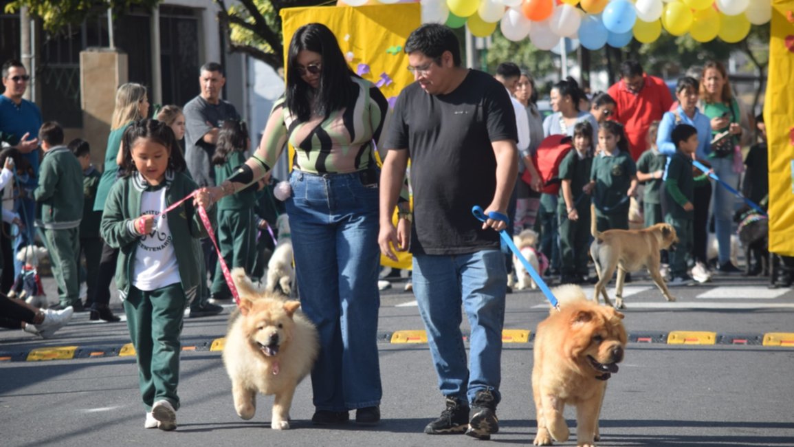 VIDEO: desfile solidario de mascotas en barrio El Tribuno