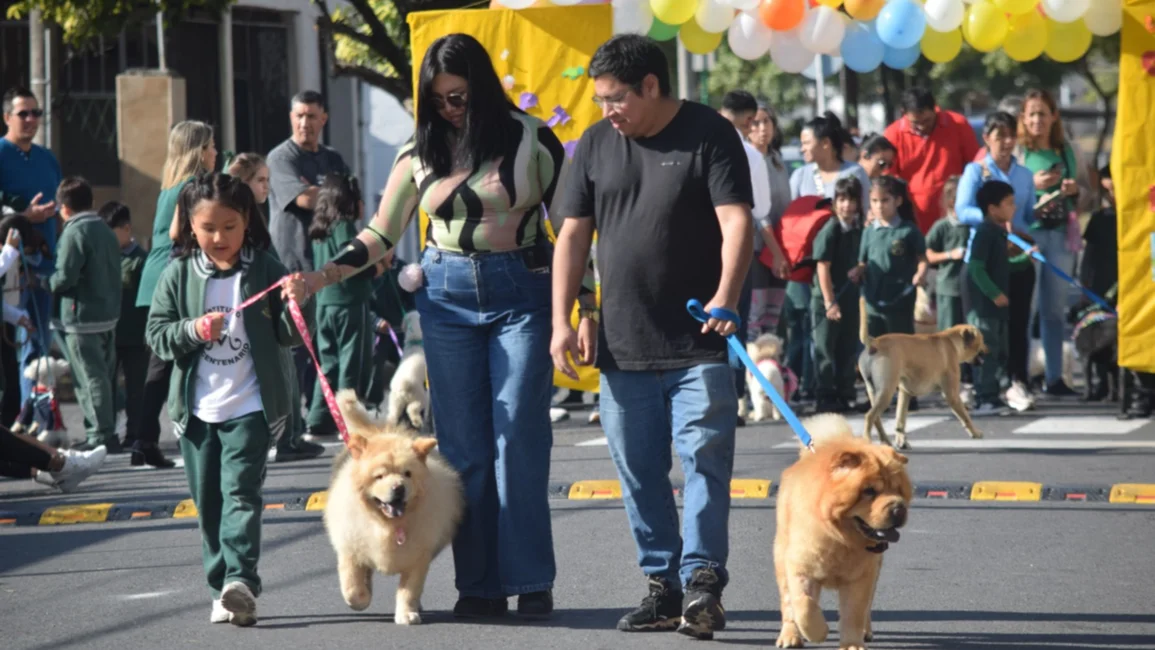 VIDEO: desfile solidario de mascotas en barrio El Tribuno