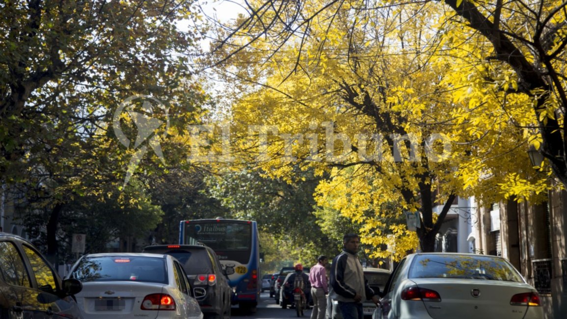 Clima en Salta. La ciudad tendrá otra semana agradable y finde mejor: mirá lo que dice el pronóstico