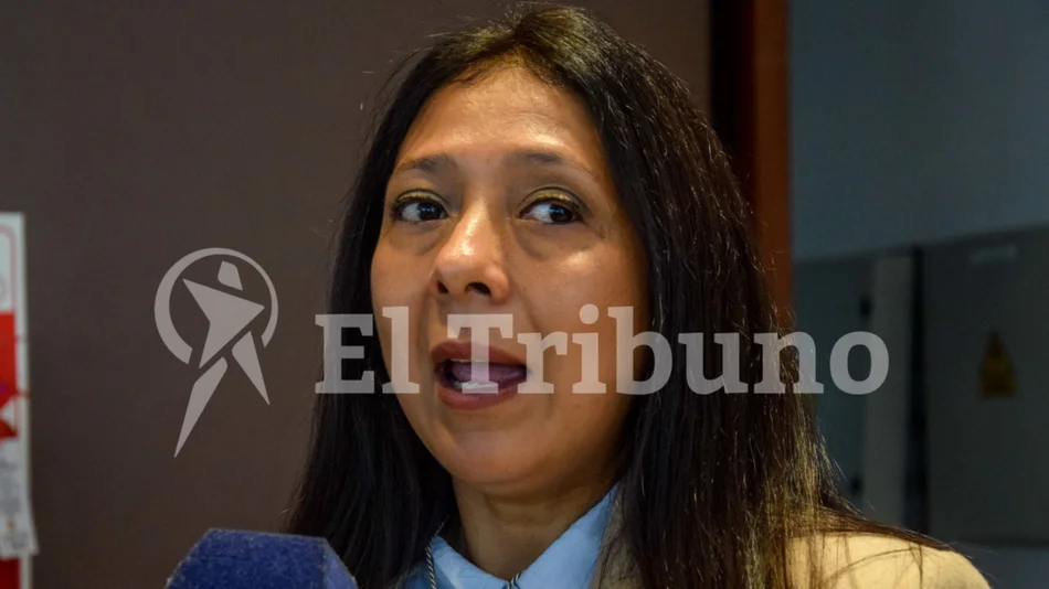 Beatriz Iñigo de FACA NOA sobre el caso López Viñals: “La ley es clara: no hay reelección posible"