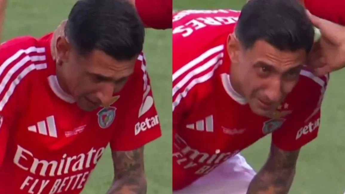 Conmovedor video: Ángel Di María lloró desconsoladamente en su despedida del Benfica