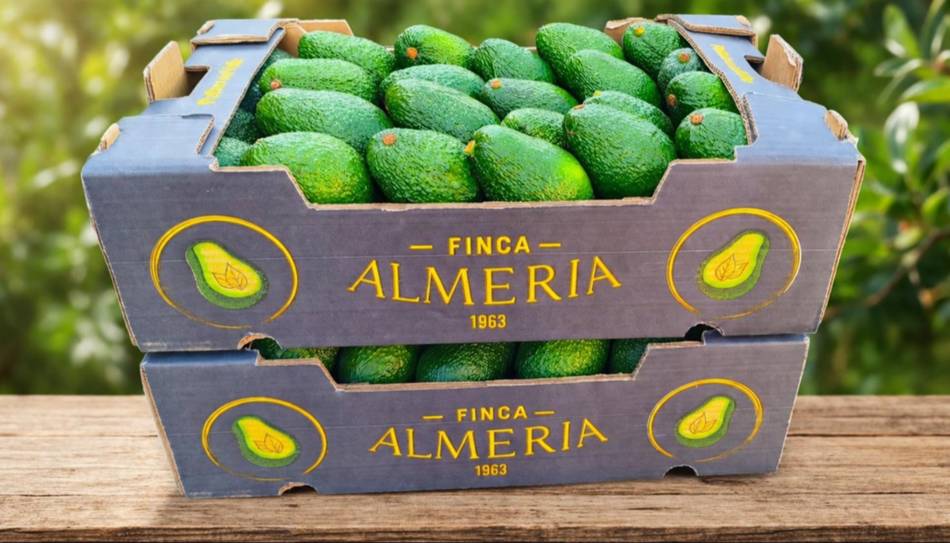 De tabaco a palta: la reconversi&oacute;n que avanza en Jujuy