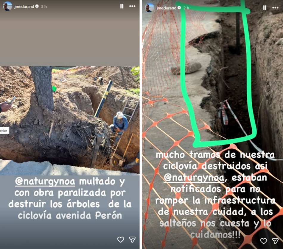 VIDEO. La Municipalidad multó a la empresa Naturgy por destruir árboles nativos sobre avenida Perón