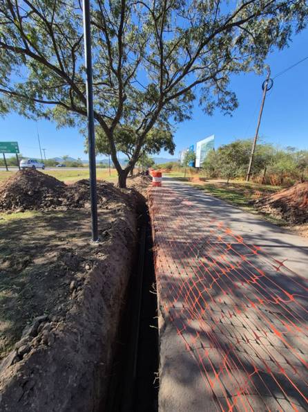 VIDEO. La Municipalidad multó a la empresa Naturgy por destruir árboles nativos sobre avenida Perón
