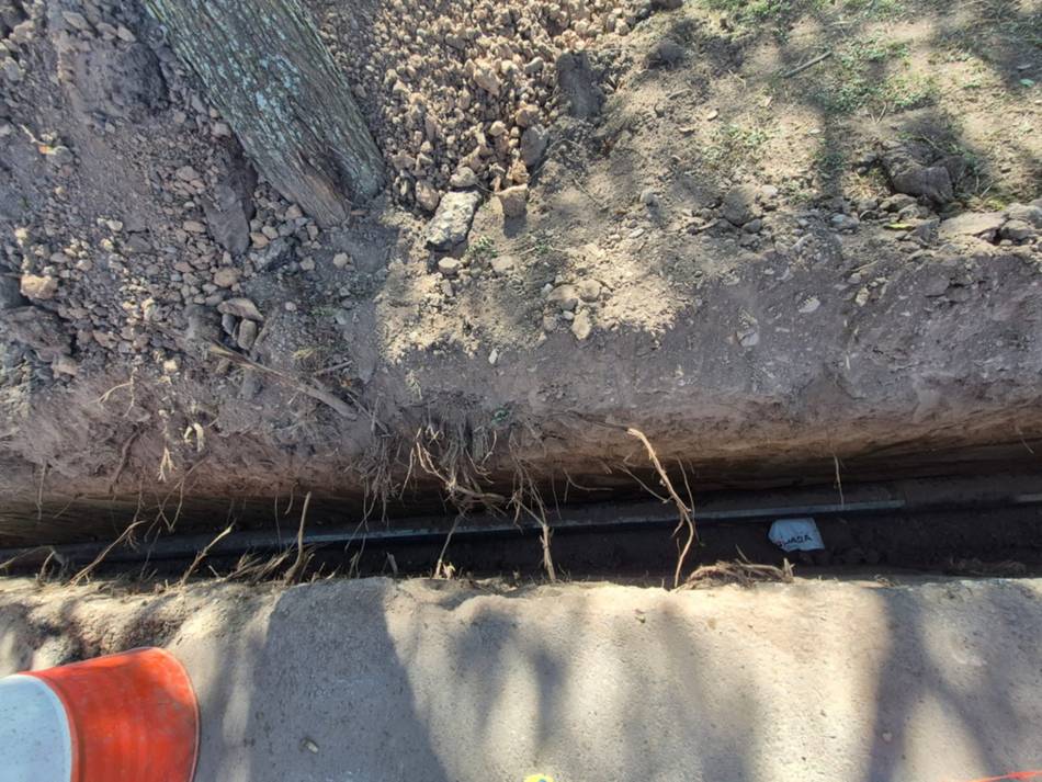 VIDEO. La Municipalidad multó a la empresa Naturgy por destruir árboles nativos sobre avenida Perón