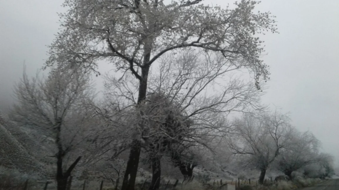 Comenzaron las primeras nevadas en los Valles Calchaquíes