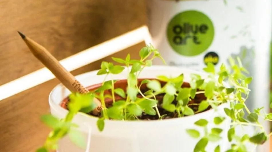 Jujeños venden lápices “plantables” para trabajar en la protección de la fauna silvestre