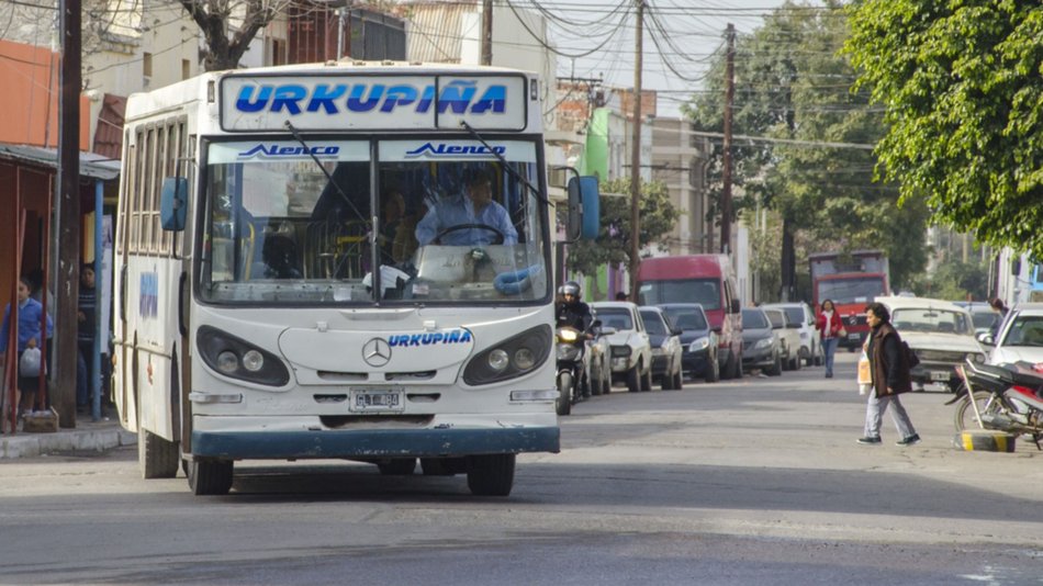 Investigan un millonario fraude con subsidios 