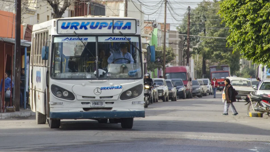 Investigan un millonario fraude con subsidios 