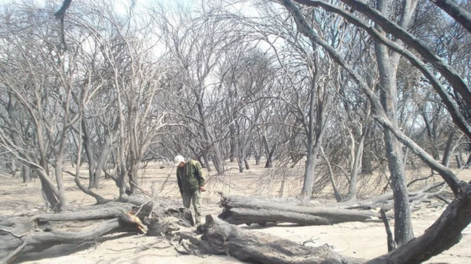 Piden auxilio para el monte calchaquí, diezmado en un 70%