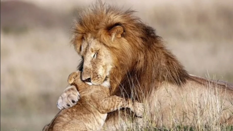 La imagen que enternece al mundo: Mufasa y Simba en la vida real 