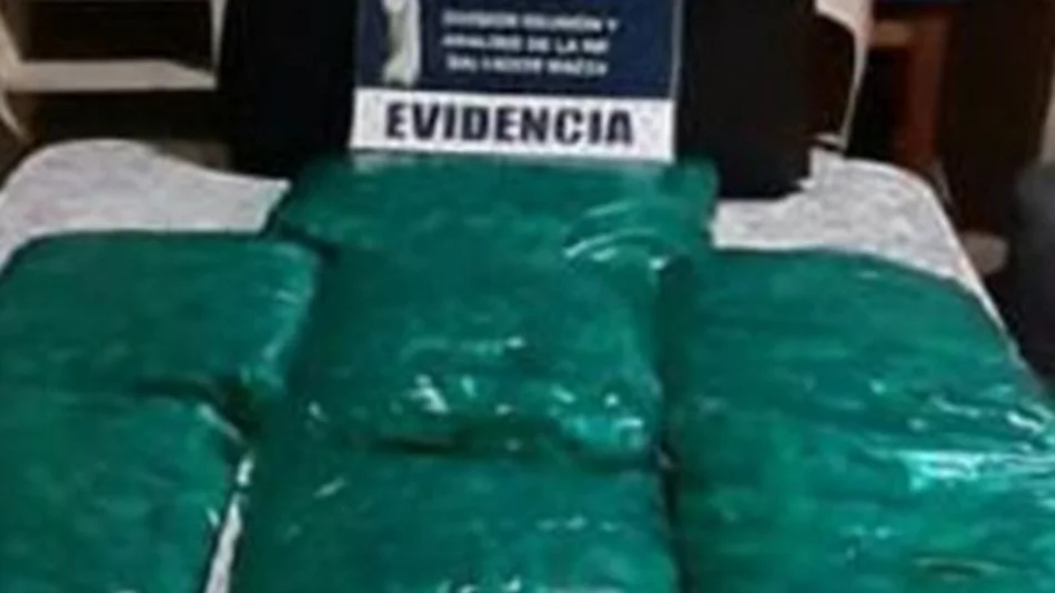 Secuestran un  cargamento de  coca valuado en $80 mil	