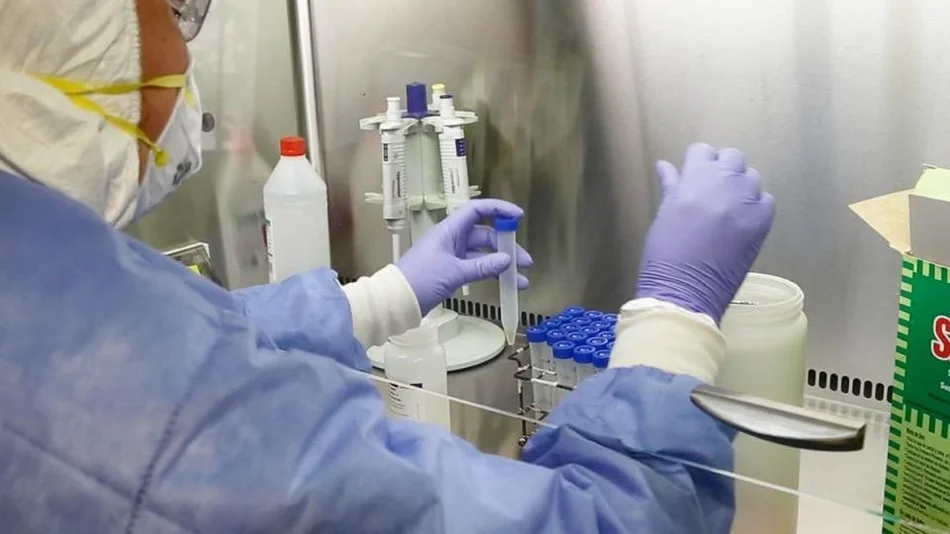 En detalles: cómo es la situación epidemiológica en Orán tras los nuevos infectados 