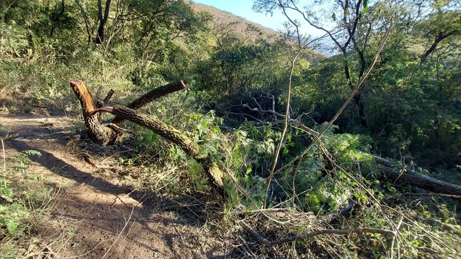 Ciclistas contra motoqueros: "Están  reventando los cerros", denunciaron