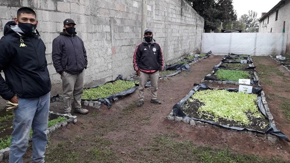 "EcoCanje", un proyecto ecológico con enorme éxito