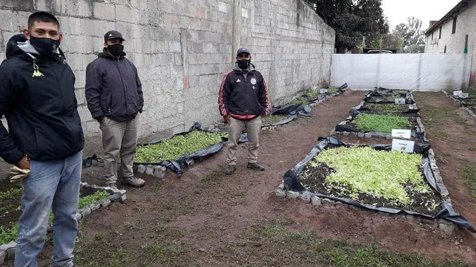 "EcoCanje", un proyecto ecológico con enorme éxito
