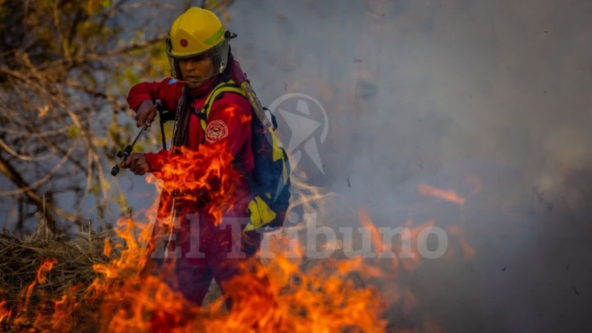 Un incendio de pastizales causó susto en zona sur: el humo entró a un centro comercial