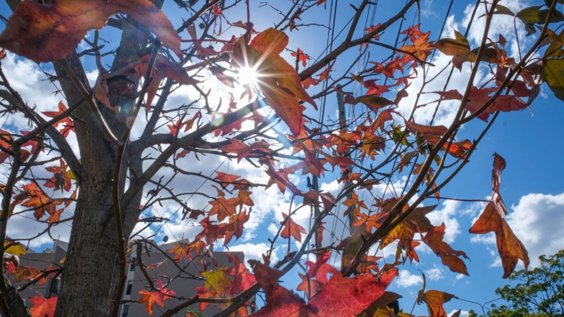 Con temperaturas en alza, la semana comienza con días templados