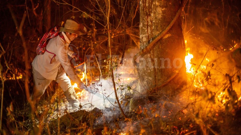 Realizan relevamientos para evitar que se repitan los incendios del año pasado