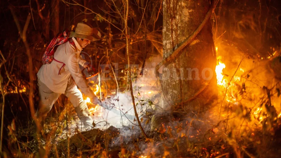 Realizan relevamientos para evitar que se repitan los incendios del año pasado