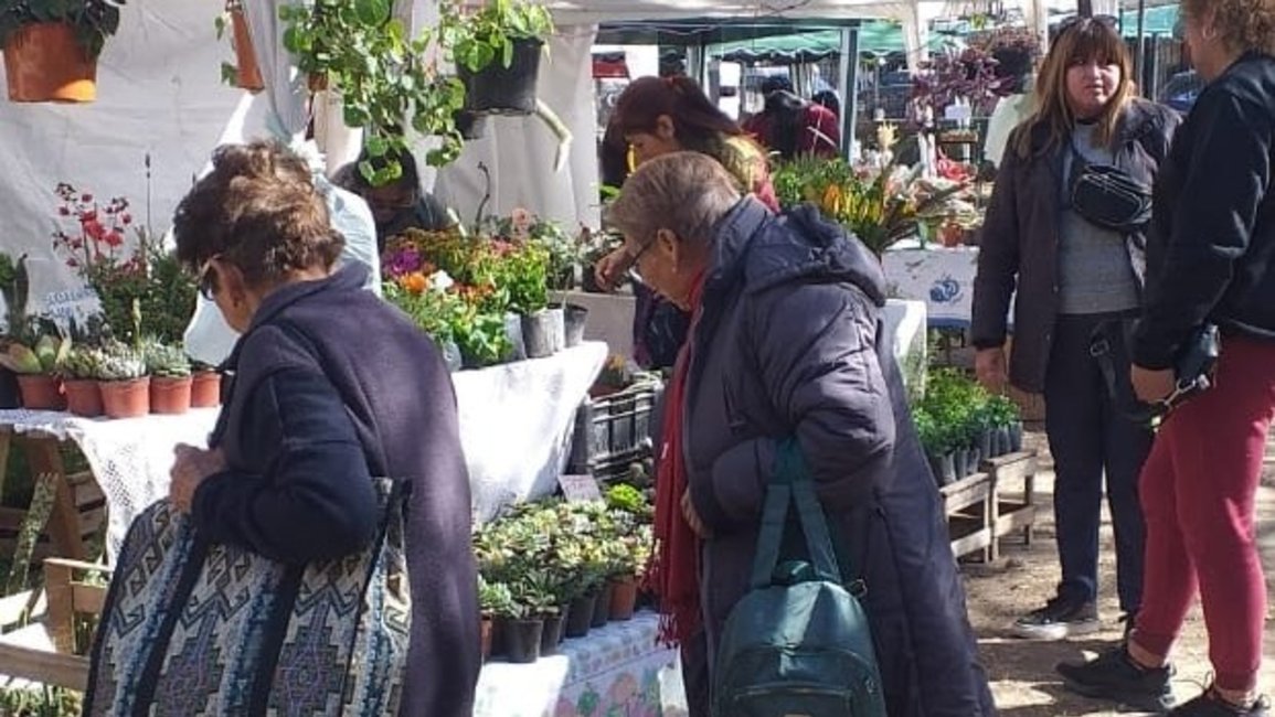 ¿Querés conocer más sobre las plantas de temporada?