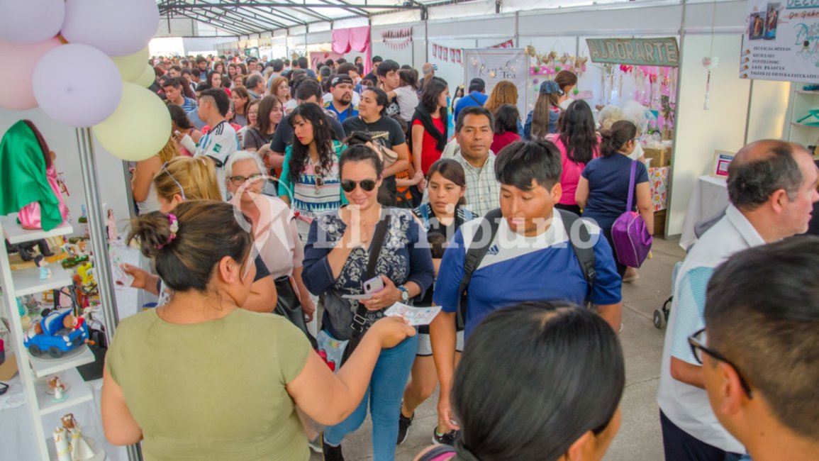 Todo lo que podés encontrar en Potencia 2024