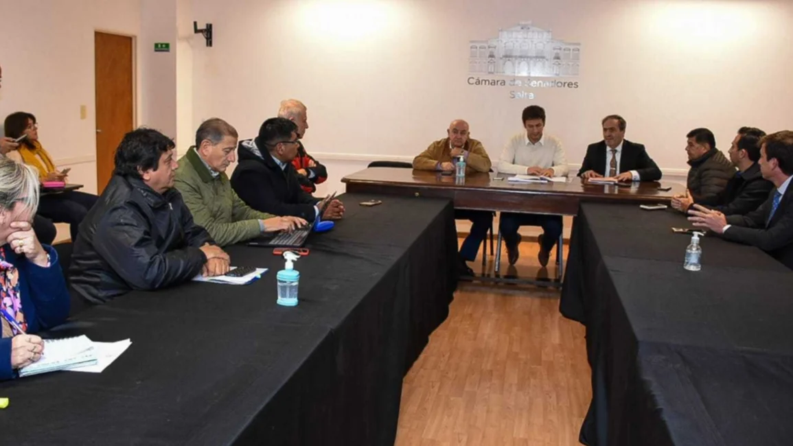 El Senado analiza la ley ficha limpia