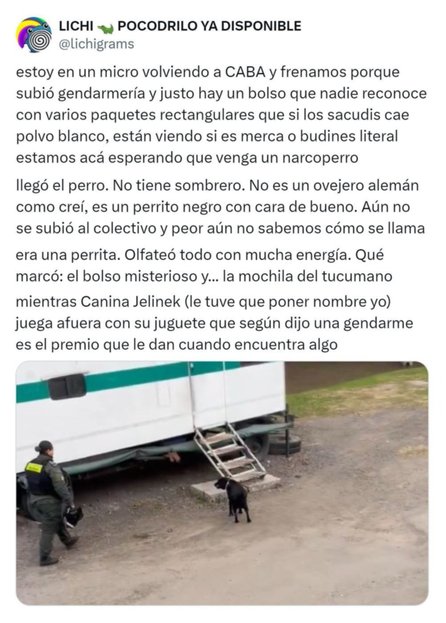 Una perra antinarcóticos encontró cocaína en un micro y un influencer la bautizó "Canina Jelinek"