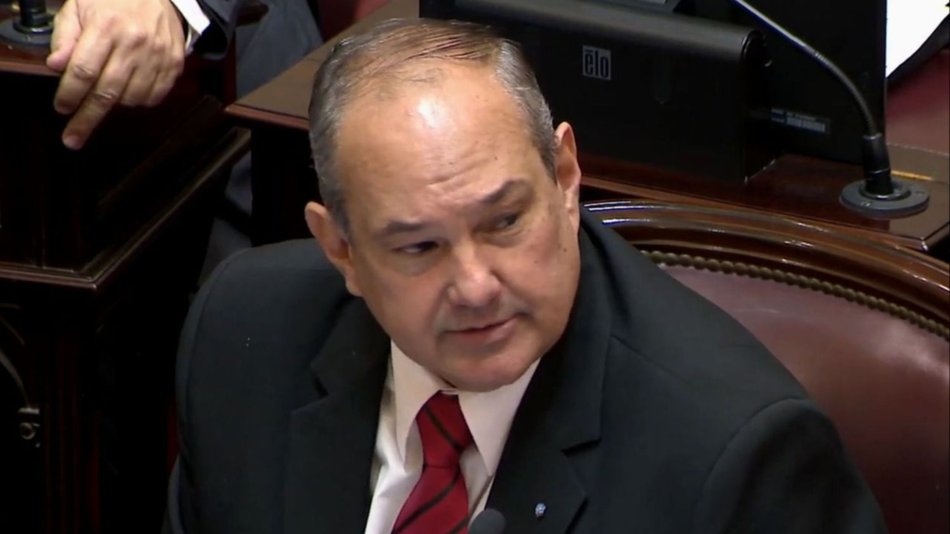Leavy pidió que los senadores "recapaciten porque no existe un país tan entregado"