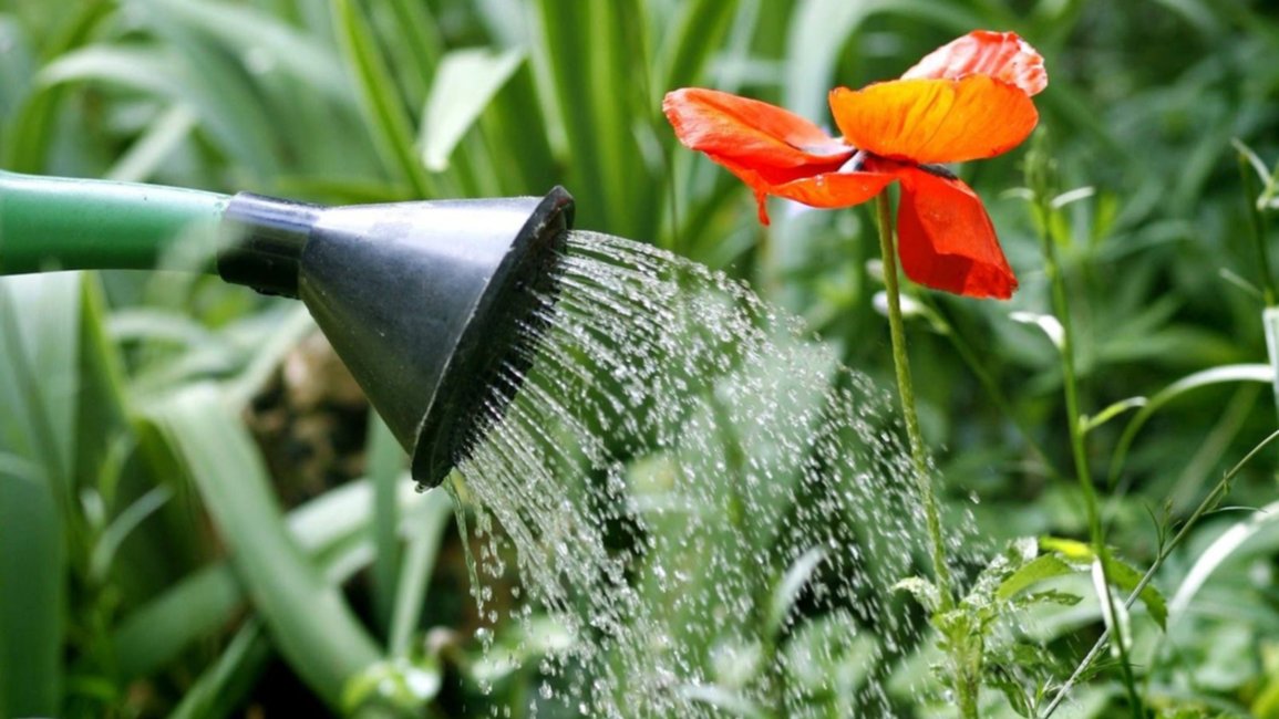 Advierten que cualquier derroche de agua en Salta se multará: conocé los montos
